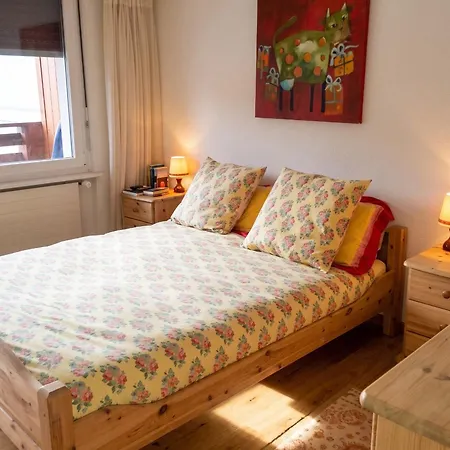 Spacious In With Mountain View Appartement Lens